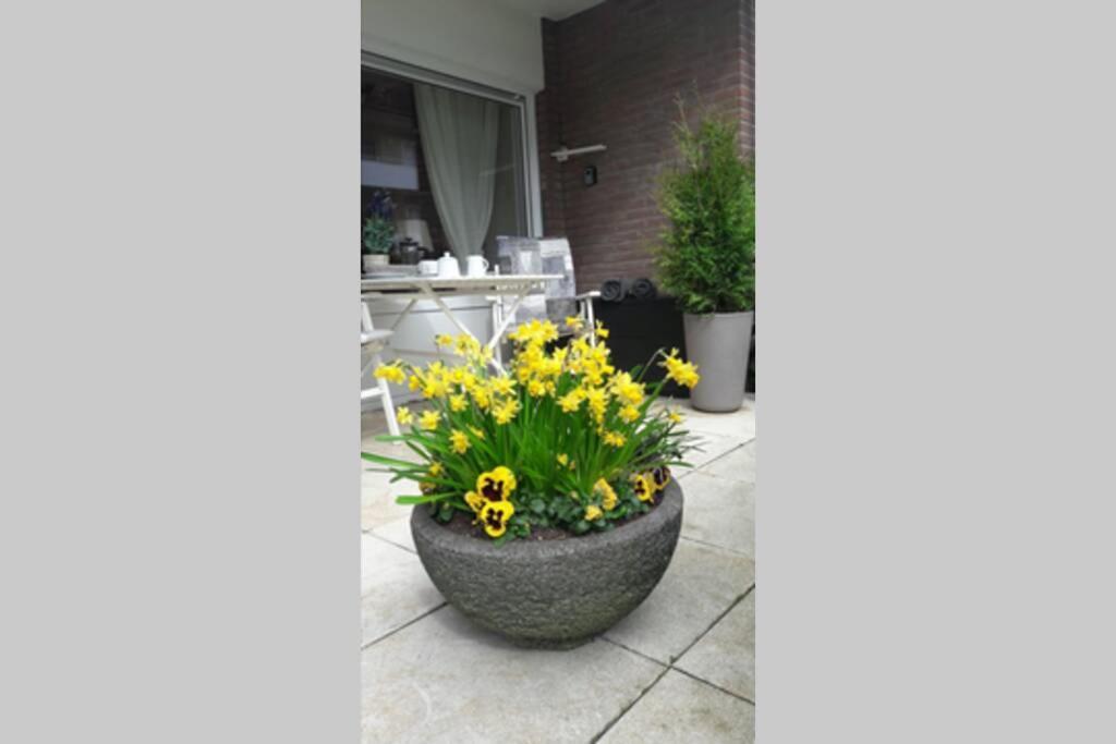 1 Zimmer Appartement Cap Arcona Neustadt in Holstein Exterior foto